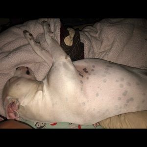 Meet your Posher, Nicki